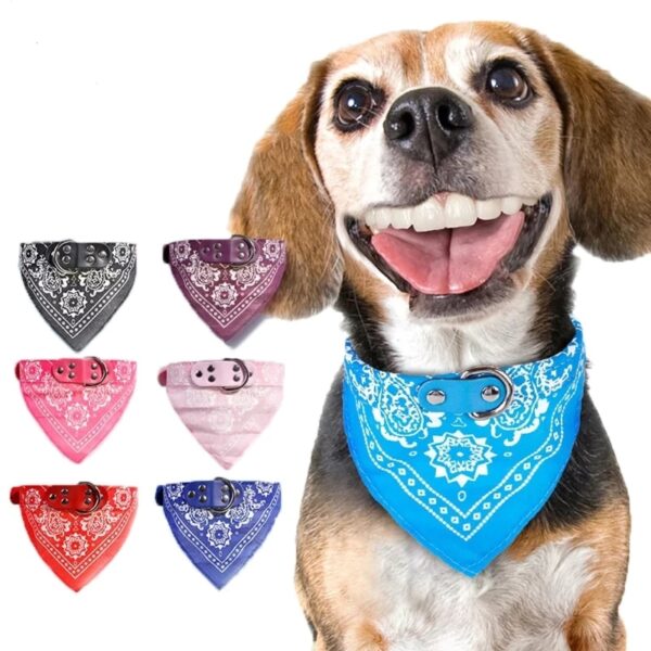 Cute Adjustable Small Dog And Cat Collars